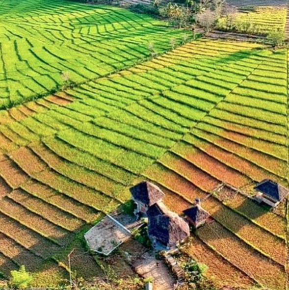 Tado Homestay Limbung Ngoại thất bức ảnh